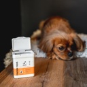 Dogslife puhdistavat hampaanhoitolaput 50kpl
