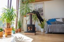 Ecomfy kissan raapimapuu peti+pesä musta 103cm