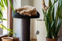 Ecomfy kissan raapimatolppa pedillä musta 67,5cm