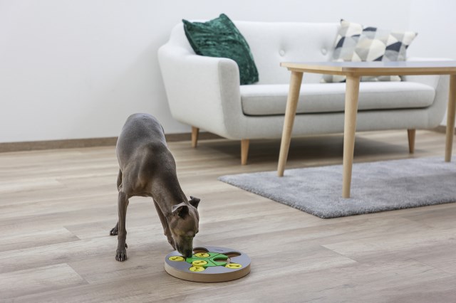 Kerbl koiran aktivointilelu pyöreä Ø25cm