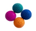 FitPAWS Paw Pods koiran tasapainopuolipallot 4 kpl