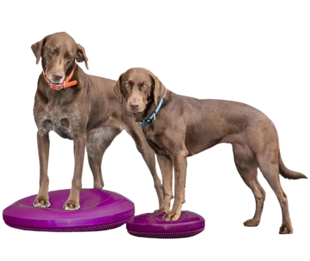 FitPAWS koiran tasapainolevy, pinkki, L ⌀56 cm