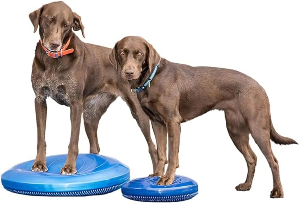 FitPAWS koiran tasapainolevy, sininen, L ⌀56 cm