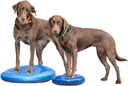 FitPAWS koiran tasapainolevy, sininen, L ⌀56 cm