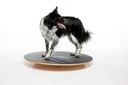 FitPAWS koiran tasapainolauta ⌀50 cm