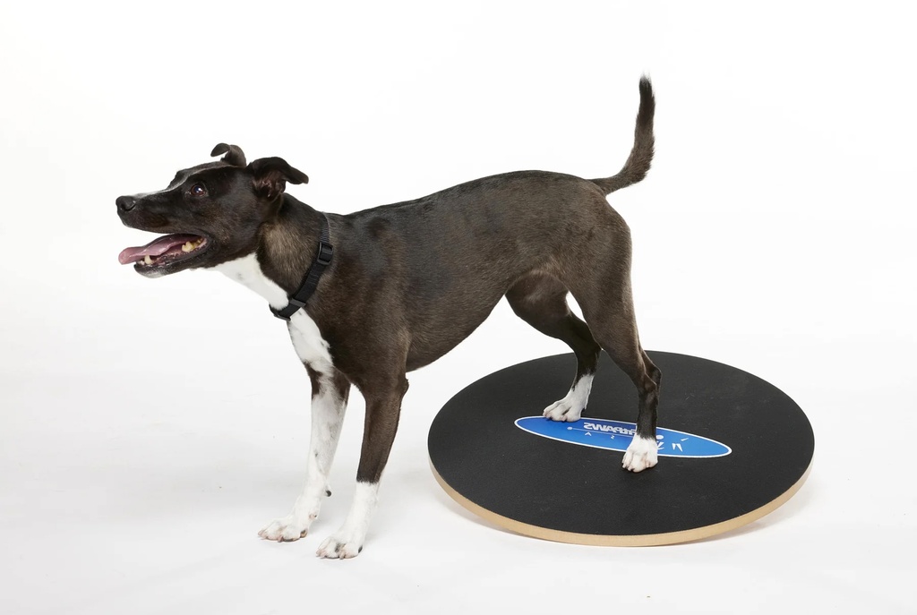 FitPAWS koiran tasapainolauta ⌀50 cm