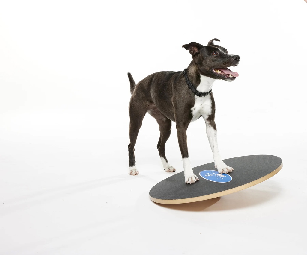 FitPAWS koiran tasapainolauta ⌀50 cm