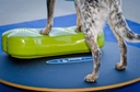 FitPAWS koiran tasapainolauta ⌀50 cm