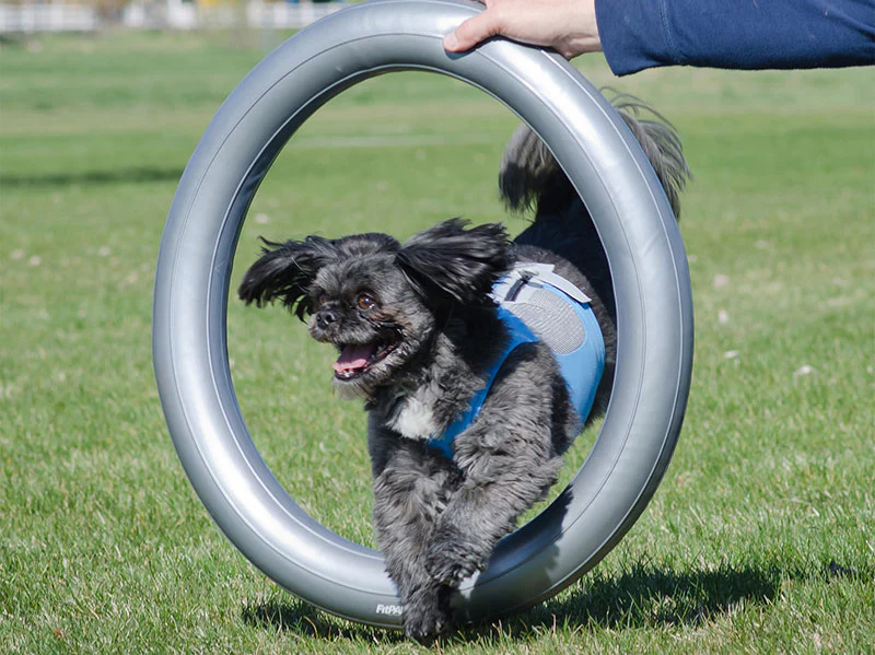 FitPAWS vakautusrengas pyöreälle alustalle