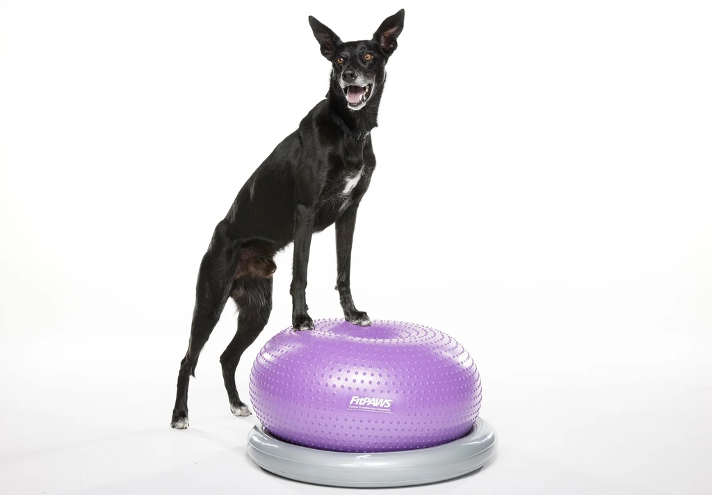 FitPAWS Trax koiran tasapainoalusta donitsi, violetti, ⌀55 cm