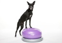 FitPAWS Trax koiran tasapainoalusta donitsi, violetti, ⌀55 cm