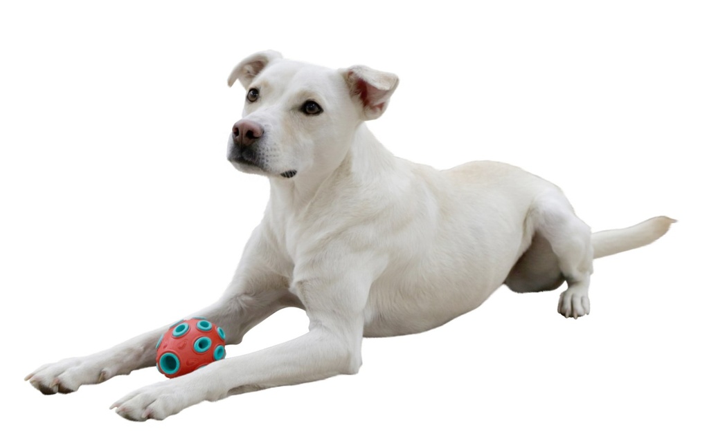 Kerbl koiran aktivointilelu täytettävä rugbypallo 12 cm