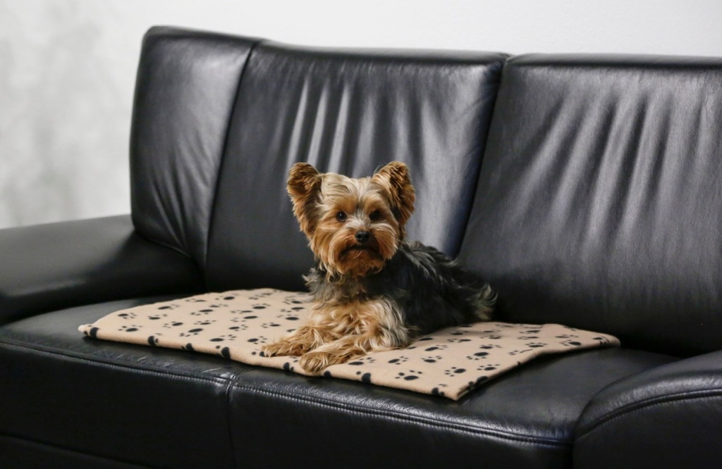 Kerbl koiran fleecehuopa beige 140x100cm