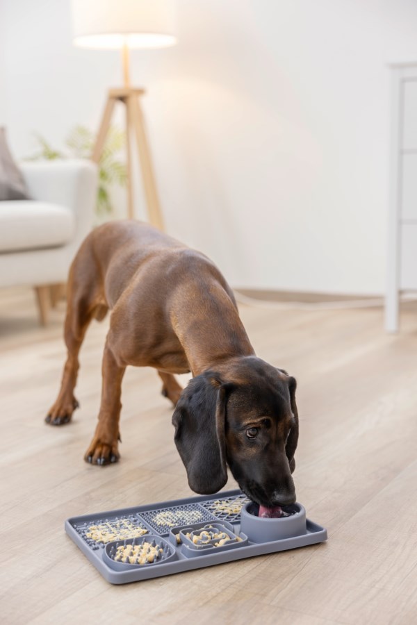 Kerbl nuolumatto XL imukupeilla ja juomakupilla 30x20 cm