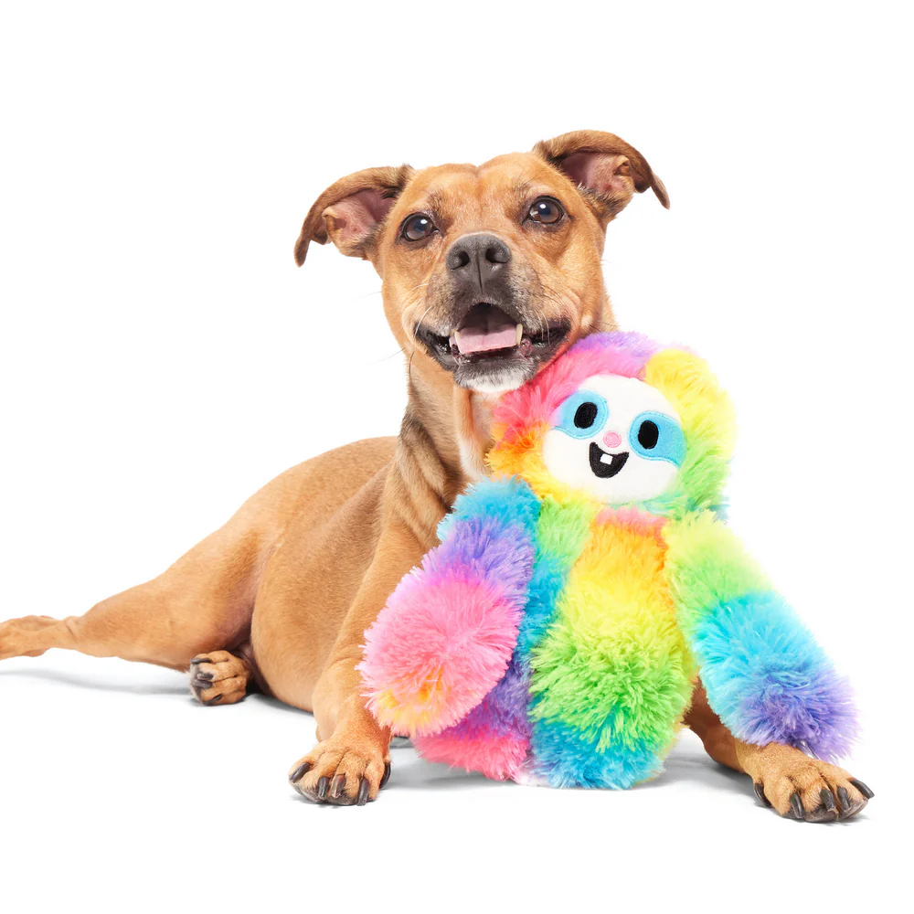 BARK koiranlelu Good Vibes Gary vinku &amp; rapina