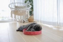 Cat Scratch Bed Circle in Cardboard, pink, Ø 34 cm
