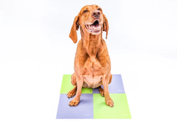FitPaws TRAX Targets (Set of 2) - Periwinkle