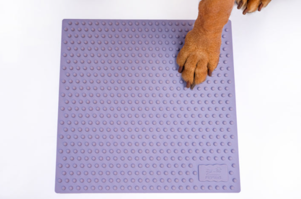 FitPaws TRAX Targets (Set of 2) - Periwinkle