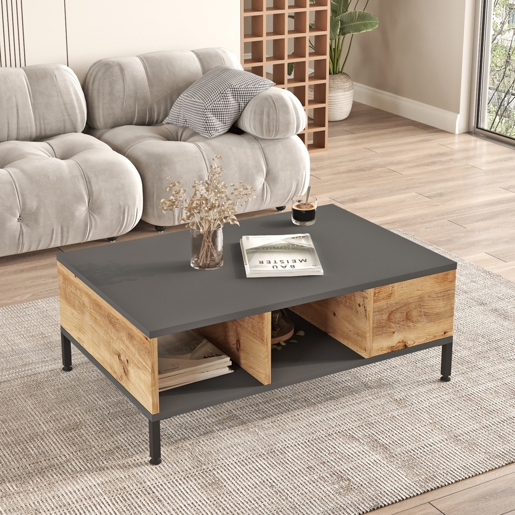Chic Home Eeli sohvapöytä 90x60xK33 cm, harmaa/ruskea