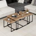 Chic Home Leanna sohvapöytäsetti 60x90xK42 cm, ruskea/musta