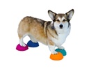 FitPAWS Paw Pods koiran tasapainopuolipallot 4 kpl sis pumppu