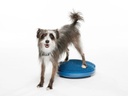 FitPAWS koiran tasapainolevy, sininen, S ⌀36 cm sis. pumppu