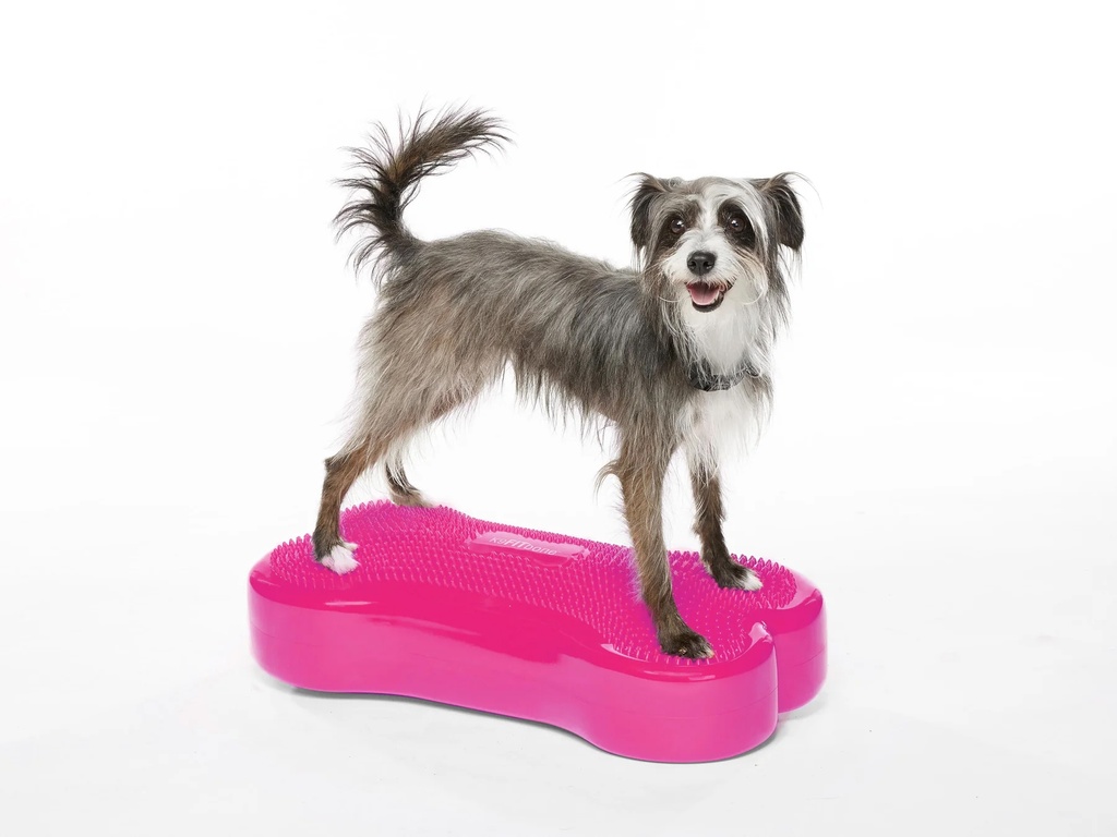 FitPAWS K9FITbone Medium koiran tasapainoalusta, pinkki, 58x29x10cm