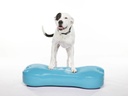 FitPAWS K9FITbone XL koiran tasapainoalusta, turkoosi, 90x39x14cm