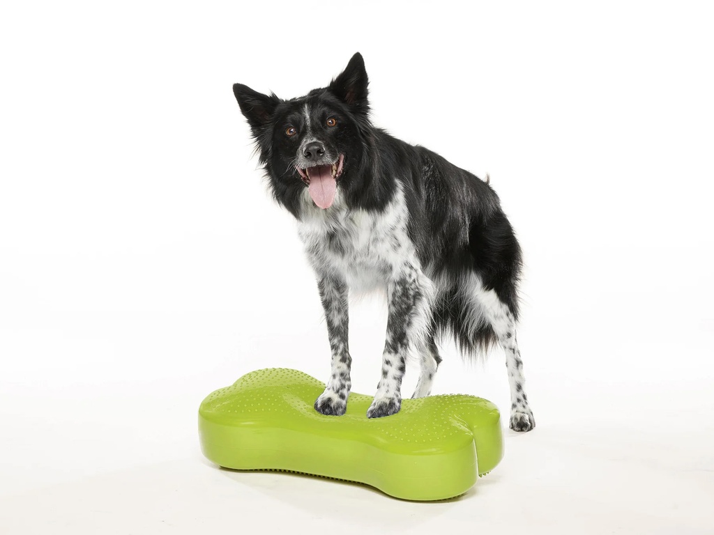 FitPAWS K9FITbone Medium koiran tasapainoalusta, vihreä, 58x29x10cm