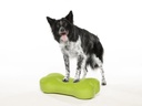FitPAWS K9FITbone Medium koiran tasapainoalusta, vihreä, 58x29x10cm