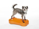 FitPAWS K9FITbone Medium koiran tasapainoalusta, oranssi, 58x29x10cm