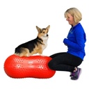 FitPAWS tasapainoalusta Peanut Trax pun. 50cm sis. pumppu