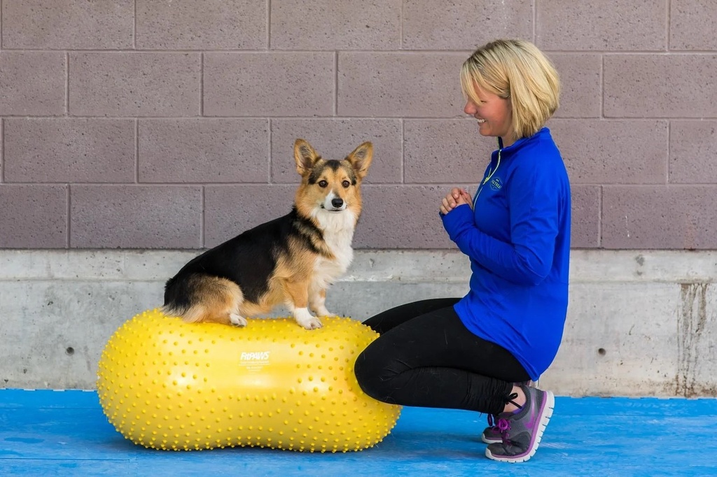 FitPAWS tasapainoalusta Peanut Trax keltainen 40cm sis. pumppu