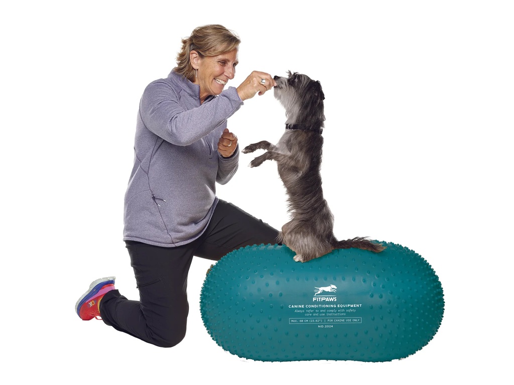 FitPAWS tasapainoalusta Peanut Trax sininen 60cm sis. pumppu