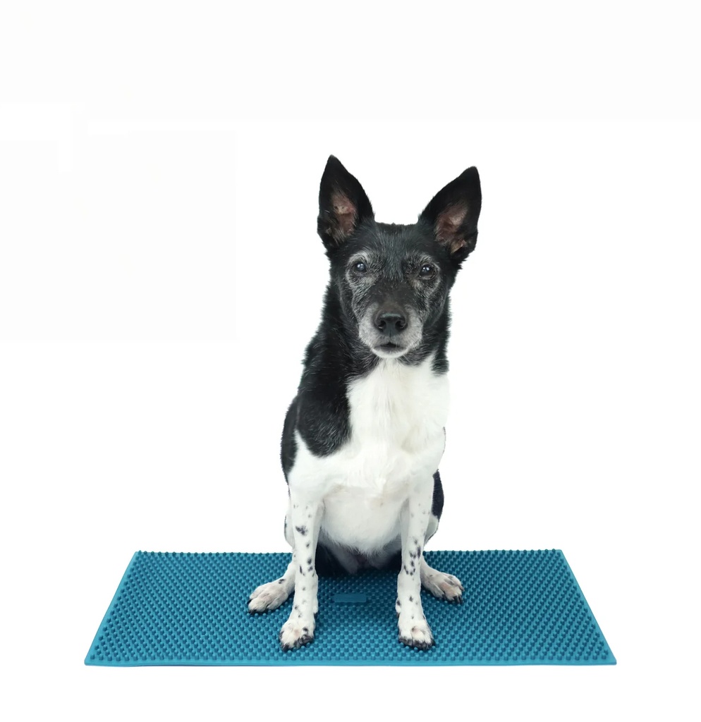 FitPAWS K9 FitMat alusta n.60x30cm