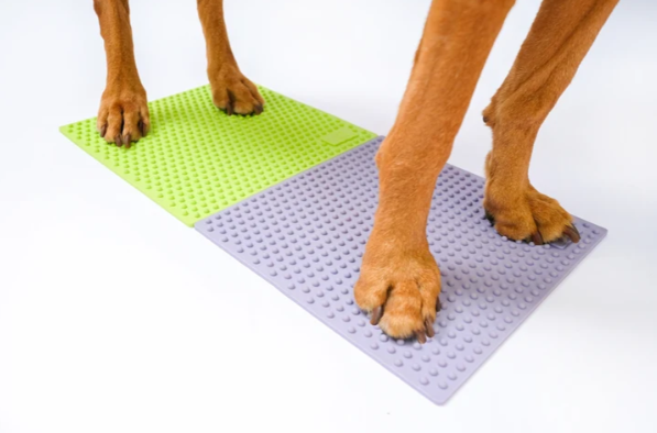 FitPaws TRAX Targets (Set of 2) - Periwinkle