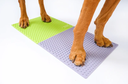 FitPaws TRAX Targets (Set of 2) - Periwinkle