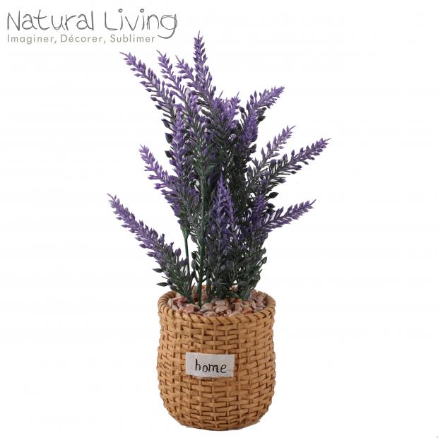 Natural Living laventeli ruukussa 54689