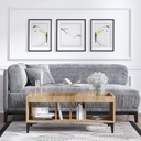 Chic Home Lulu sohvapöytä 100x50xK47 cm, beige