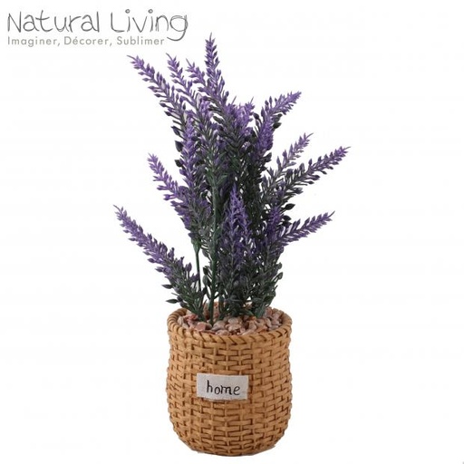 [5414886546890] Natural Living laventeli ruukussa 54689